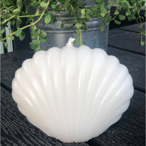 Seashell Candle - Ivory